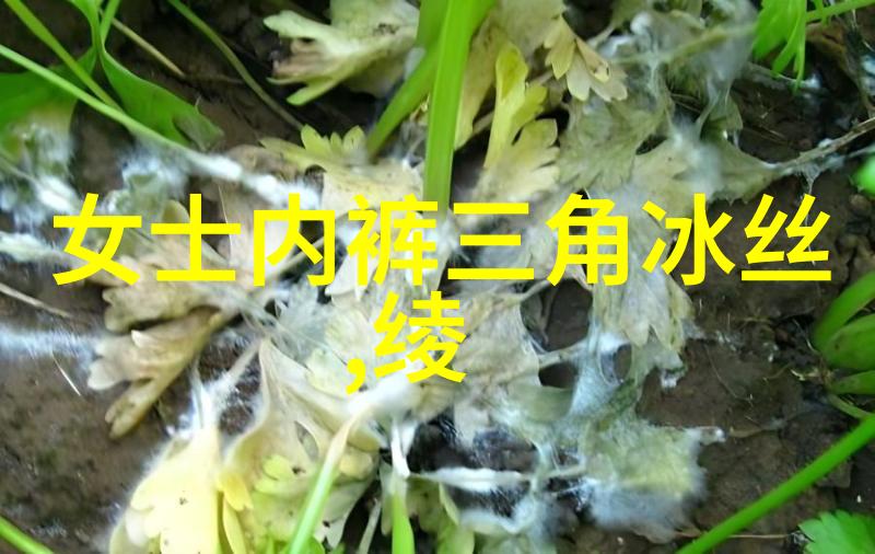 短发