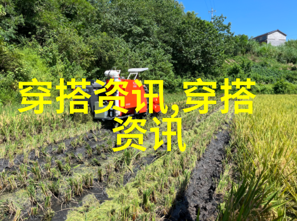 镜头背后的时尚揭秘那些神秘的潮流瞬间