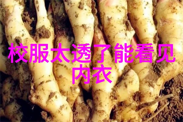 白色拉丝液体出现的原因与解决方法