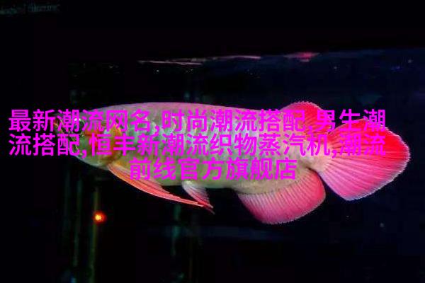 高级男子经典短髪造形