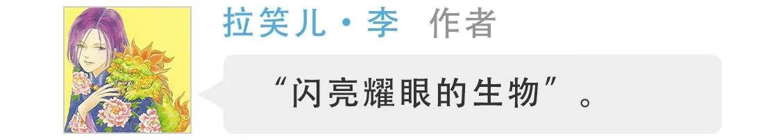时装搭配技巧百科_时装穿搭法则_穿搭时装